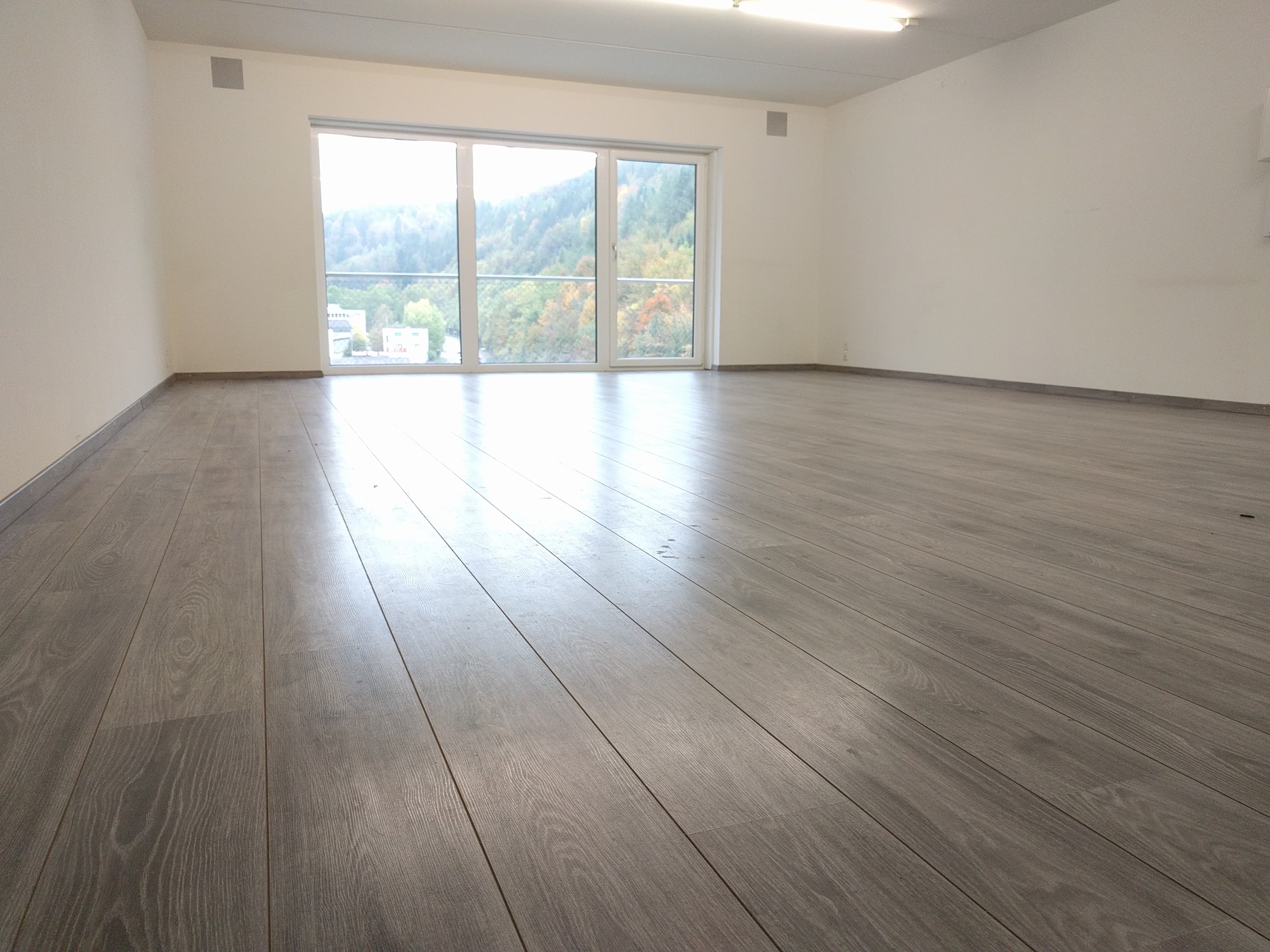 Büro 51m2 zu mieten in Liestal